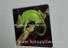 Oil Varnishing 3D Lenticular Funny Refrigerator Magnets UV Offset