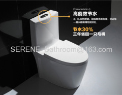 Sanitary ware Ceramic One Piece Siphon Toilet S-trap 300mm Roughing-in P-trap 180mm Roughing-in