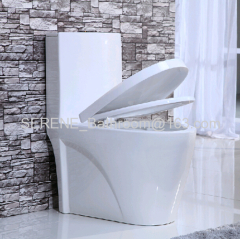 Sanitary ware Ceramic One Piece Siphon Toilet S-trap 300mm Roughing-in P-trap 180mm Roughing-in