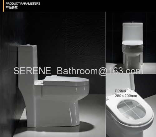 Bathroom Ceramic One Piece Siphon Toilet S-trap 300mm Roughing-in