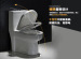 Bathroom Ceramic One Piece Siphon Toilet S-trap 300mm Roughing-in