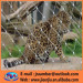 Zoo fencing stainless steel animal enclosure 304 bird mesh zoo fence wire mesh