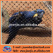 Parrots Mesh animal enclosure rope mesh