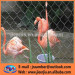 ANIMAL ENCLOSURES Animal / Bird Enclosure Mesh for Zoos bird y mesh zoo mesh