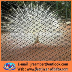 ANIMAL ENCLOSURES Animal / Bird Enclosure Mesh for Zoos bird y mesh zoo mesh