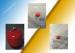 Single Zone Firefighting Device Co2 Fire Extinguisher Automatic Or Manual