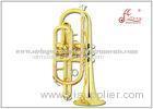 Brass cornet musical instrument 11.8mm Bore 121mm Bell Gold Lacquer Bb Tone