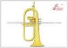 153mm Bell Flugel Horn Brass Music Instruments Bb Tone Gold Lacquered