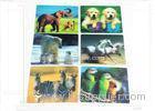 Waterproof 3D Fridge Magnets PP / PET Lenticular Flip Effect Magnet