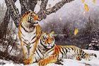 Winter Tiger Plastic Printing Services Nice 3D Lenticular Waterproof