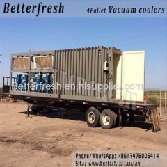 Dongguan Betterfresh refrigeration preservation Cauliflower Kohlrabi Cress Bread Lettuce Broccoli precoolers vacuum cool