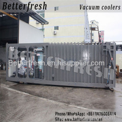 Dongguan Betterfresh refrigeration preservation Cauliflower Kohlrabi Cress Bread Lettuce Broccoli precoolers vacuum cool