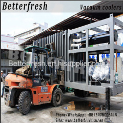 Dongguan Betterfresh refrigeration preservation Cauliflower Kohlrabi Cress Bread Lettuce Broccoli precoolers vacuum cool