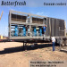 Dongguan Betterfresh refrigeration preservation Cauliflower Kohlrabi Cress Bread Lettuce Broccoli precoolers vacuum cool