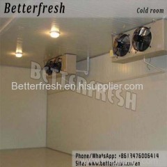 Dongguan Betterfresh refrigeration preservation Seed Storage ( Low Humidity Cold Store)Cold room