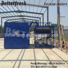 China Manufacture and Installation of fast Vegetables Cooling PreCooling Vacuum Cooling Hydro Cooling Forced Air cooling