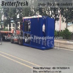 Betterfresh Flower Pallets Vacuum Coolers Vegetables Coolers PreCooled Vacuum Cooling Systems