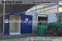 Manufacturer Betterfresh Vacuum Cooling Farm Cooling Vegetable Cooling Vacuum Cooler for Cooling and quality Vegetable