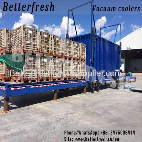 China Manufacturer Betterfresh Vacuum Coolers vegetable Freezer Forced Air Cooling Blast Chiller cool down Refrigeration