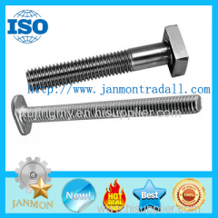 T bolt T bolts Special T bolt Special T bolts T type bolt T type bolts Steel T bolt Steel T bolts T head bolt T bolts304