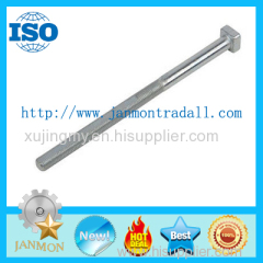 T bolts T type bolt T type bolts Steel T bolt Steel T bolts T head bolt T head bolts Hammer T head bolt SS304 T headBOLT