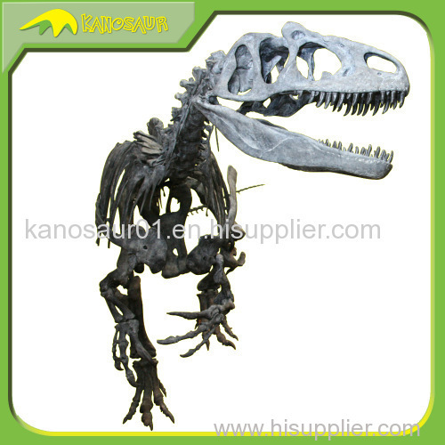 Handmade Lfe Size Skeleton Exhibition Dinosaur