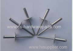 Blind rivets China supplier by Ningbo Century Shine