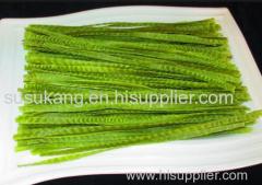 Organic Soybean green pasta