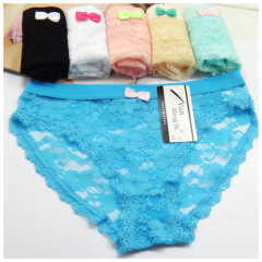 Sexy hot teen hipster transaprent lace short panties beautiful embrodired sexy lingerie