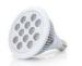 White 12W Led Grow Lights Full Spectrum E27 Led Light Bulbs With Epistar Chip
