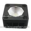 Horticulture Indoor Cree Led Grow Lights For Vegetative Growth And Seedling