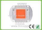 High Efficiency 50w Cob Full Spectrum Led Chip 660nm Led Grow Light Chip