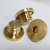 Metric/brass Pressure Blind Plug Threaded