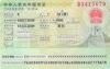 5 Years China Talent Visa Familly Visa China Green Card Cousulting Service