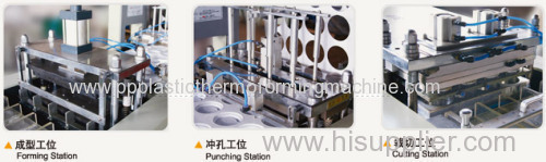 Plastic PP  Egg Tray  Automatic  Thermoforming Machine 