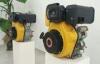 7.2kw Electric Starter Small Single Cylinder Diesel Engine For Agriculture Machines