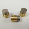 Hasco Sealing Plug for Temperature Control System