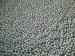 No Breakage Forged steel ball mill grinding media Dia 25mm - 150mm