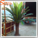 Factury Outlets Mini Trees Artificial Cycas Revoluta Thunb Palm Tree Green Plant for sale