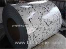 Stone Grain Color Coated Galvanized Steel Coil