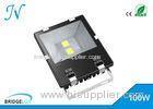 High Output RGB 100w Led Flood Light Dimmable For Decorative Lighting