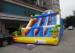Sea World Theme Commercial Inflatable Dry Slide For Event Activities