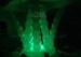 Fire Resistant Inflatable Lighting Seaweed Fantastic For Sea World Theme Park