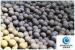 High impact value forged steel grinding media balls for Power stations