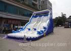 Outdoor Double Dolphin Inflatable Backyard Water Slide With 9L X 4W X6H