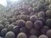 Steel Grinding Balls for cement plant