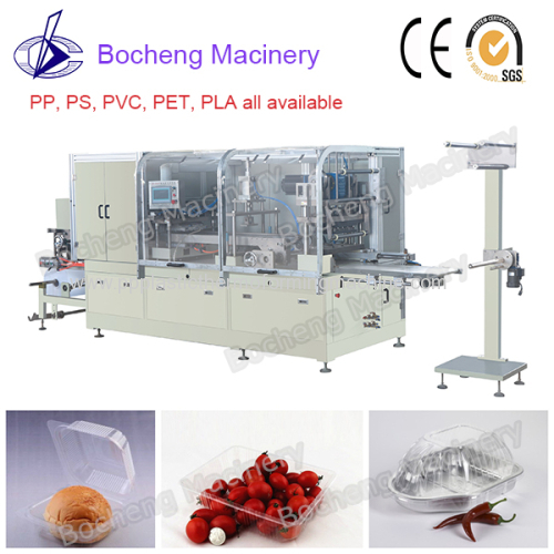 Plastic PP Food Container Thermoforming Machine