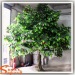 Real wood branches plastic red fruit artificial green leaves apple tree with fiberglass trunk for garden decor