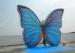 Outdoor Advertising Inflatable Butterfly Beautiful Blue High Tear Strength