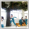 Evergreen factory outlets mini trees customize plastic fruits artificial plants fake apple tree for mall decor